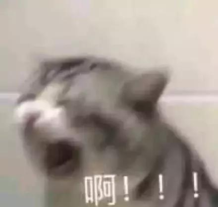 燥了一整个夏天，这个节目就是real