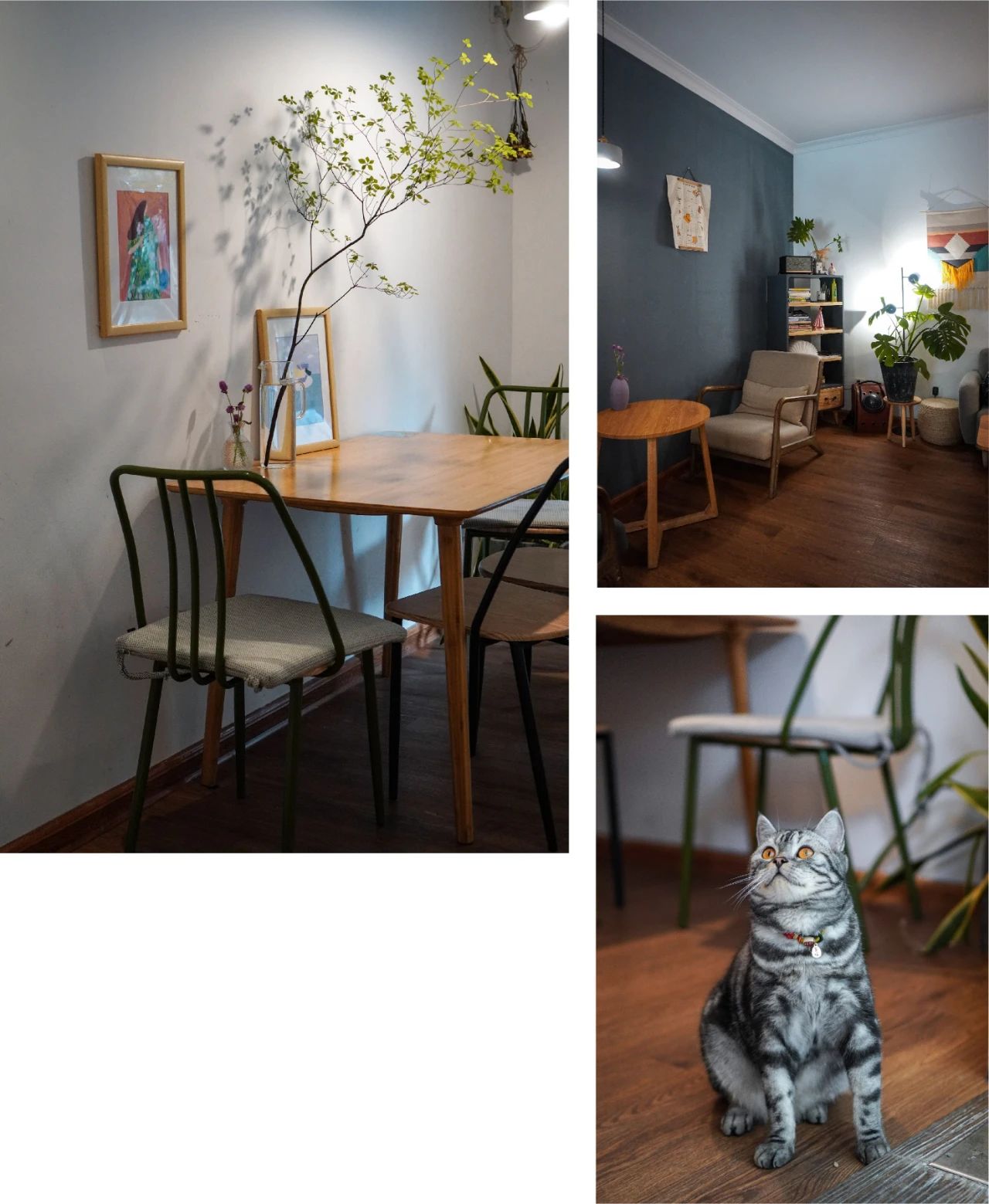 厦门环岛咖啡店,厦门环岛东路咖啡店