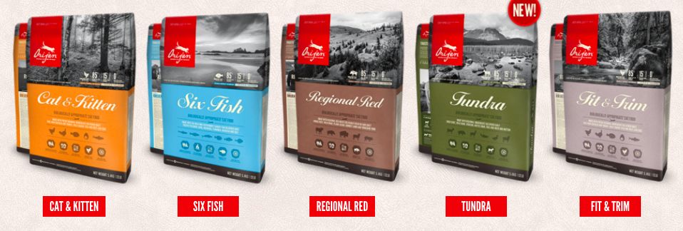 猫粮的秘密什么猫粮好而不贵,到底该怎么选择猫粮