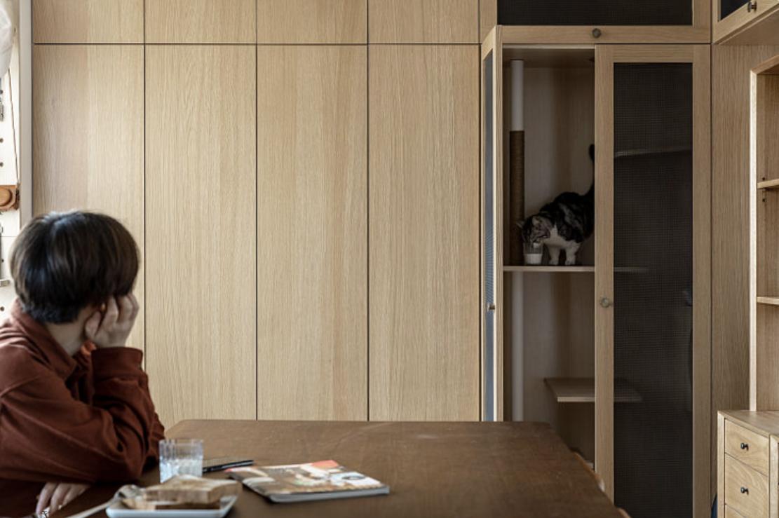 年轻人一人一猫的独居生活,一屋一人一猫的生活视频