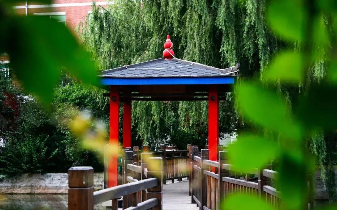 沈阳化工大学辽宁省排名,沈阳化工大学2020招生计划辽宁省