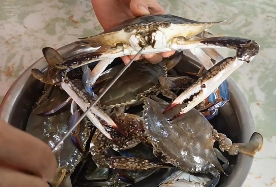 手把手教您挑梭子蟹,一招教你挑选梭子蟹
