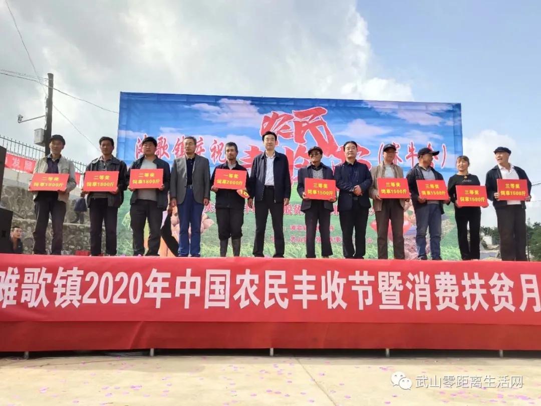 滩歌镇2020年中国农民丰收节暨消费扶贫月启动