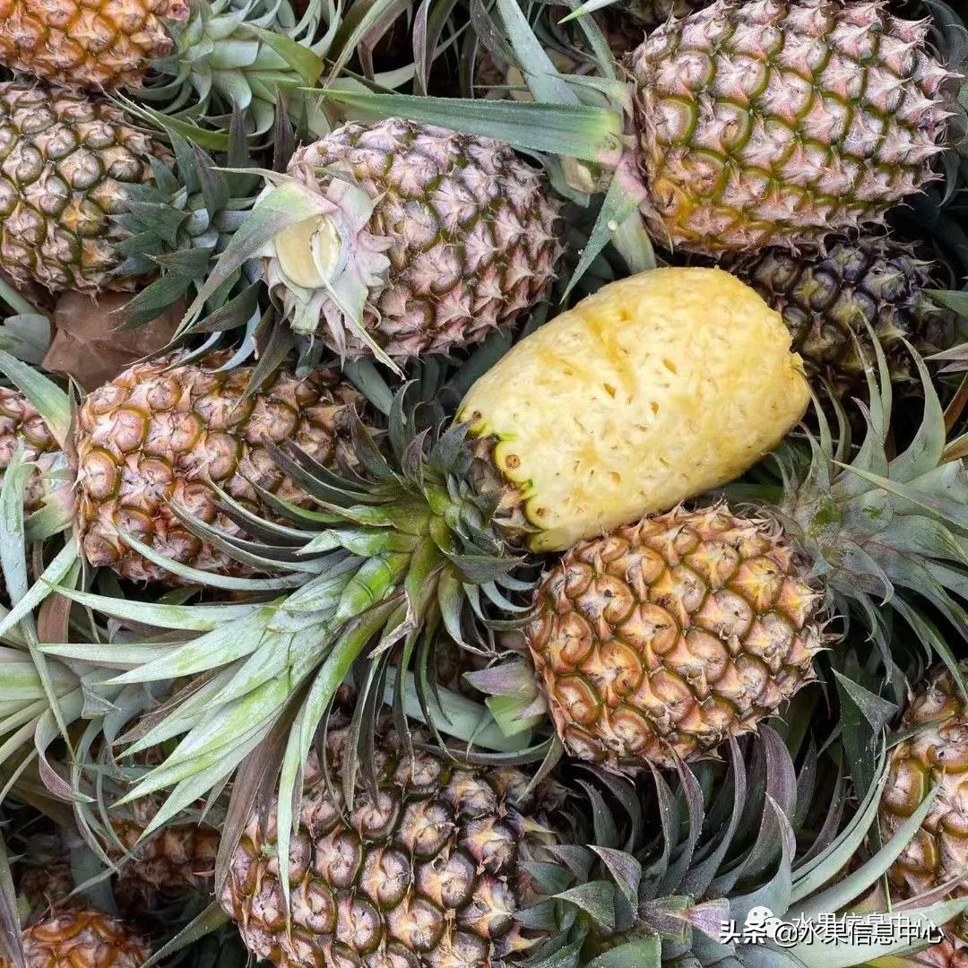 水果天堂：海南水果品种及上市时间表