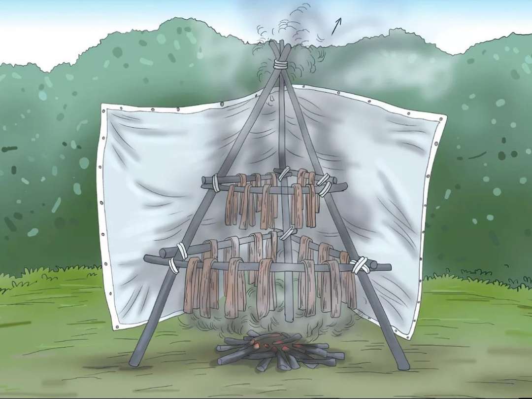 野外救急食物,野外救命技巧和方法