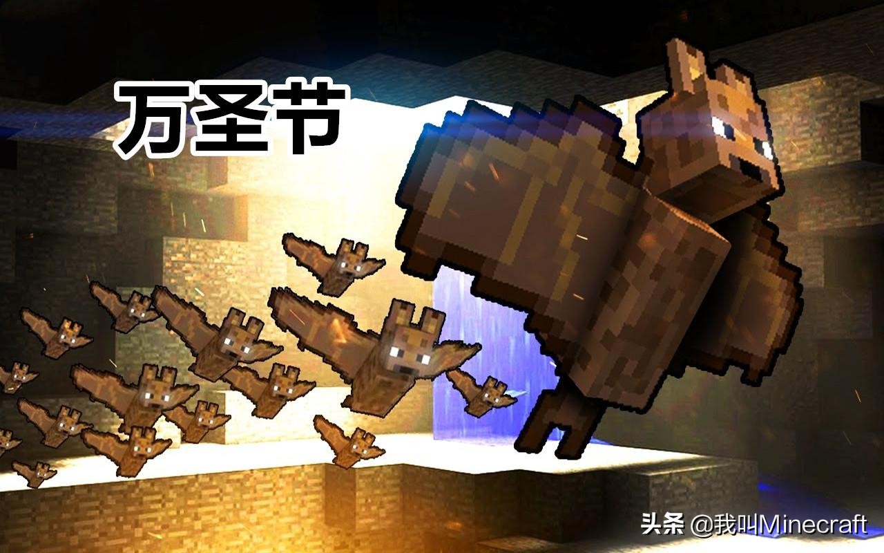 我的世界里关于蝙蝠的冷知识 (我的世界蝙蝠冷知识)