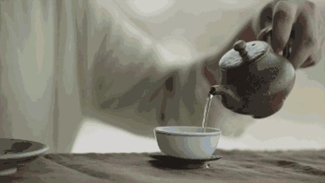 普洱沱茶生茶怎么泡好喝,菊花金银花茶怎么泡好喝