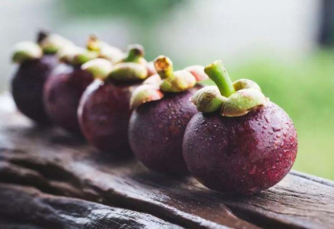 买山竹解决问题,买山竹有坏果怎么办