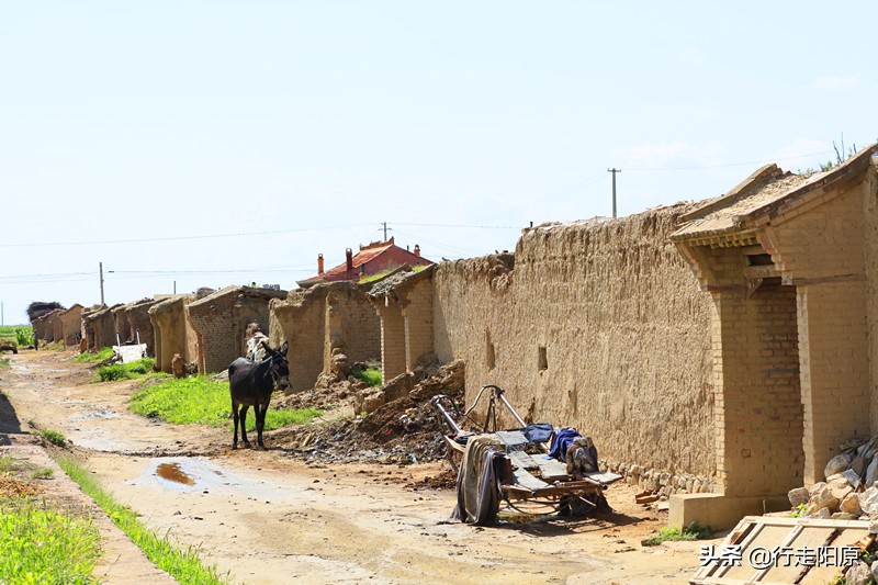 人们闹错的阳原地名这里全有，看完再错就说不过去了