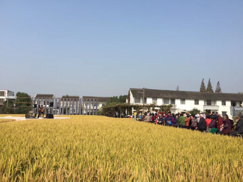 上海八十八亩田地址,上海有七千多多一平方的地方吗