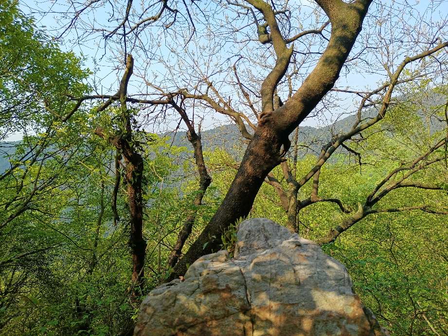 苏州第一高峰穹窿山,苏州最高的山穹窿在哪里