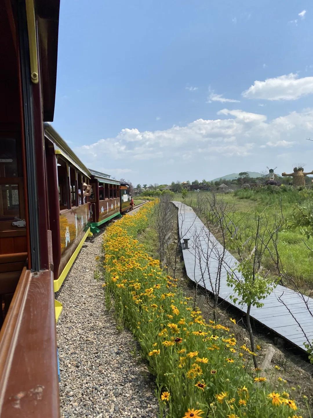 醉花海古镇美景,醉舞花海
