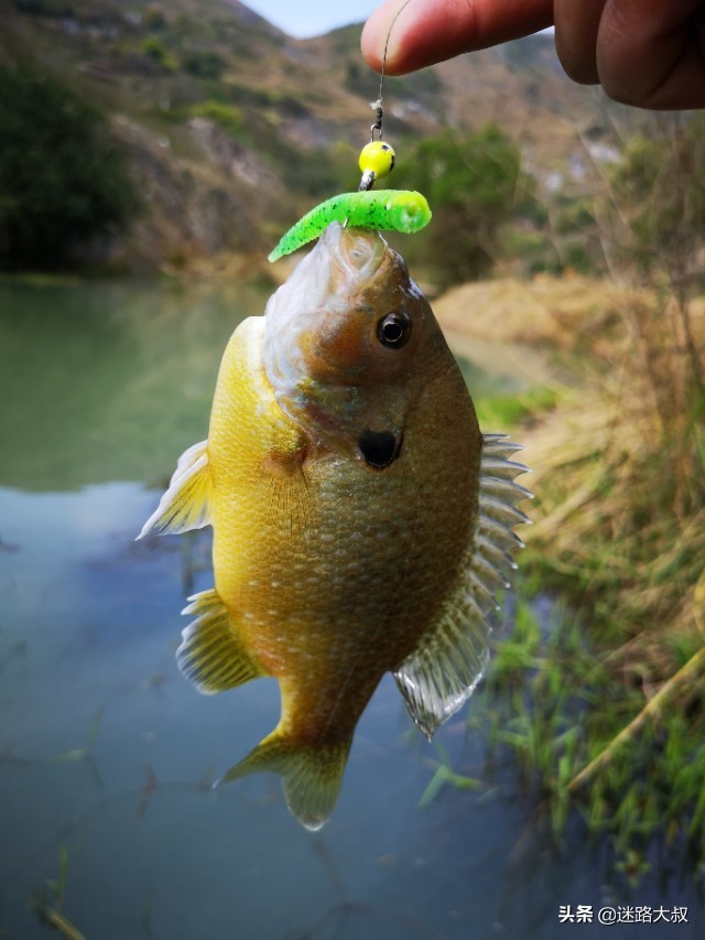 路亚翘嘴必备饵,路亚新手必备三个忠告