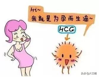 【孕期科普】一次讲清：HCG、孕酮和流产的“三角关系”