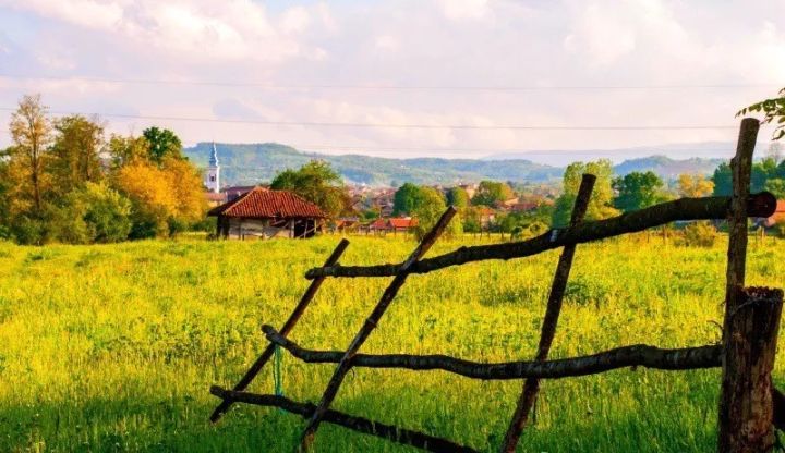 那些美到窒息的场景,那些美到让人窒息花海