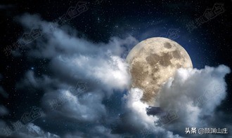 关于荷花梅花的红色诗词,梅花荷花菊花柳树月亮诗词大全集