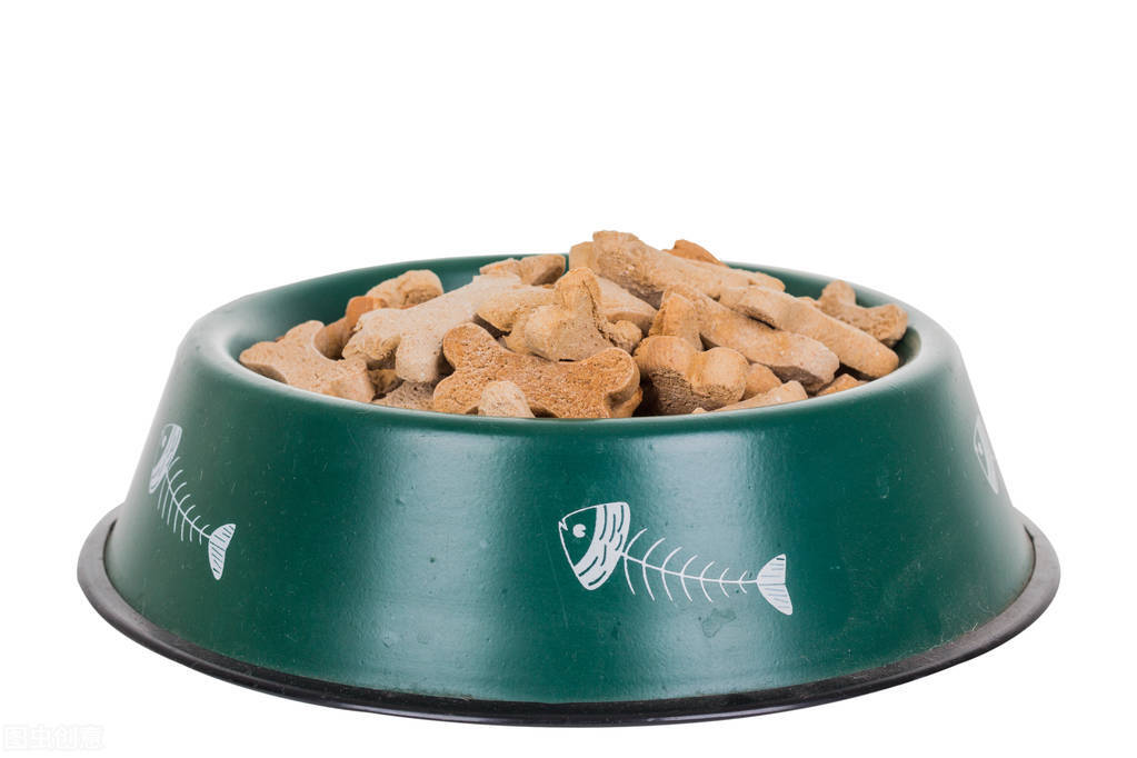 狗狗不吃东西呕吐没精神吃什么药,养宠知识狗狗呕吐了怎么办