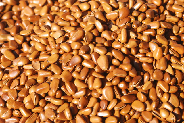 旅途中被营销是种怎样的体验?