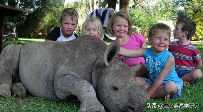 怎么判断名字五行缺什么,从小区名字怎么判断小区档次