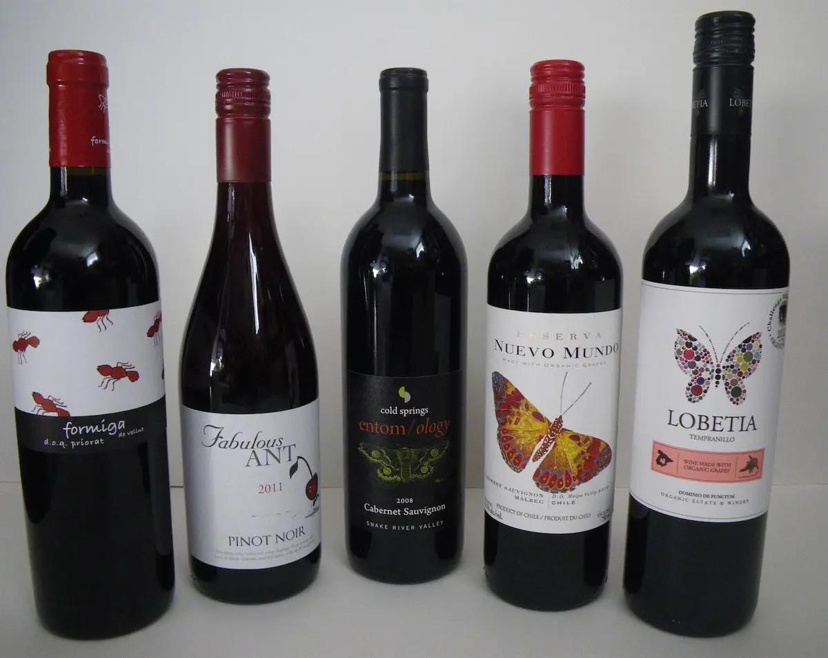 干红半干有什么区别,干白干红什么意思