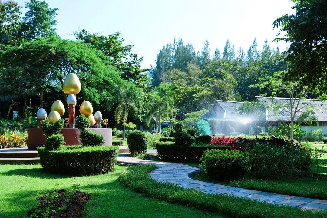 清迈美食攻略大全,最新清迈美食攻略