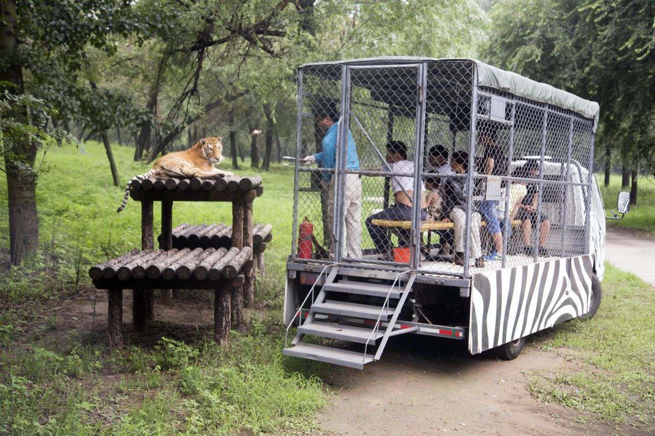 国内值得去的十大动物园,国内最值得去的动物园