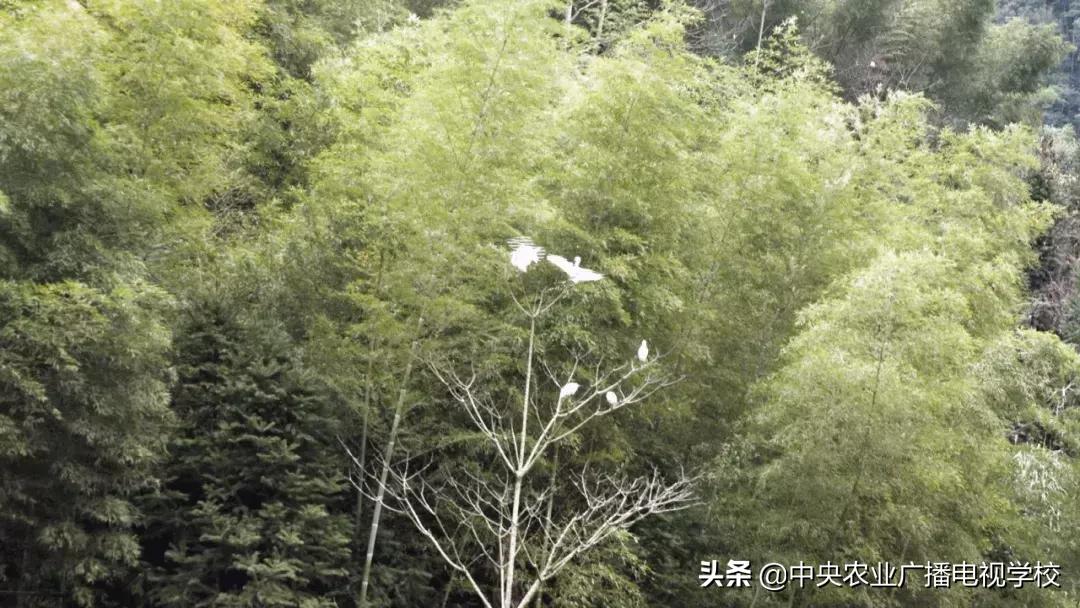 【农广天地】滑溜的财富抓起来