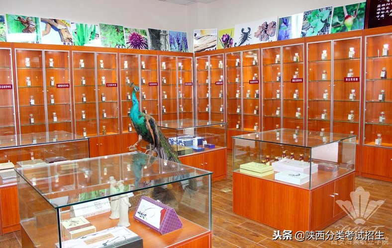 西安海棠职业学院学费,西安海棠职业学院报名