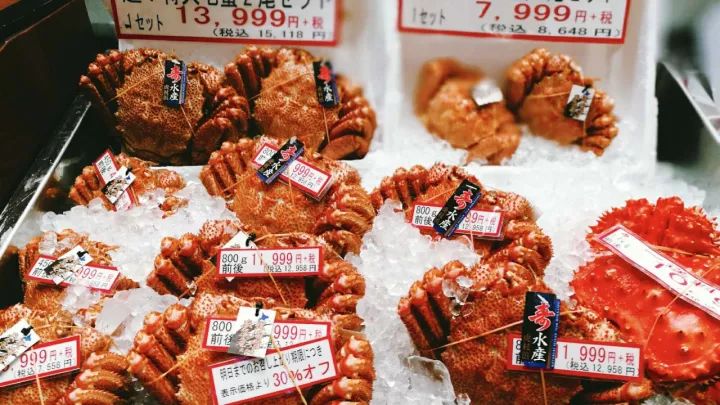 日本北海道温泉之旅,为游客准备了包机