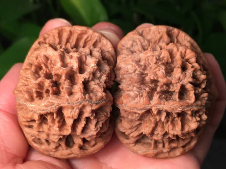 文玩核桃盘玩六大误区,盘玩文玩核桃必学的几个技巧