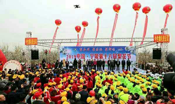宁陵第十八届梨花节开幕,宁陵今年梨花节在什么地方举行