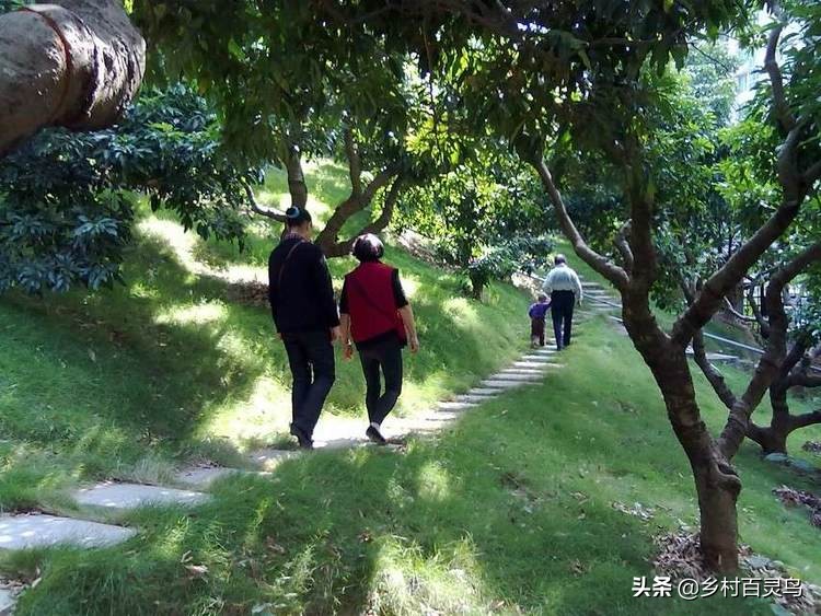 漫步在故乡的夕阳下,骑行漫步在乡间的小路上