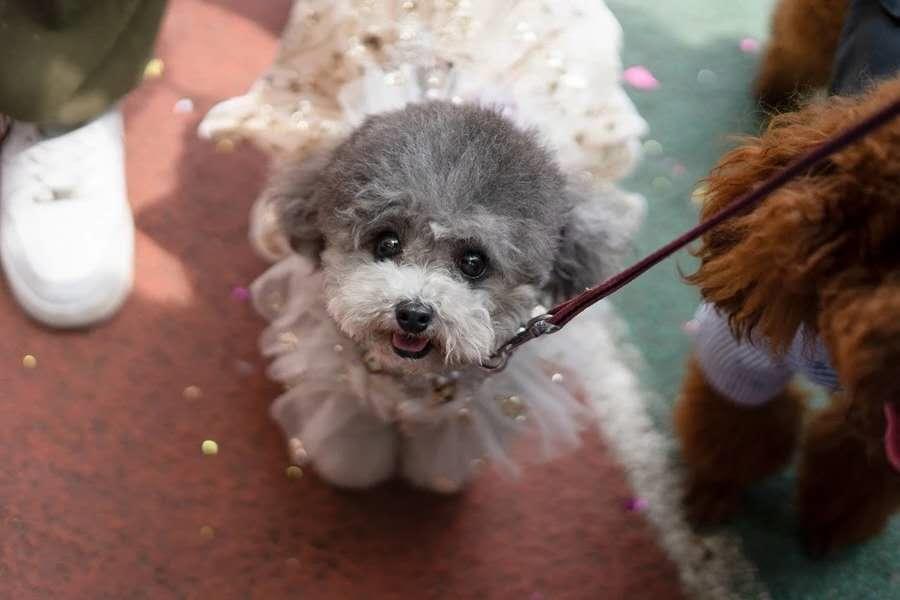 报考华南农业大学,华农报录比