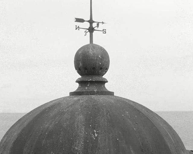 烂番茄最新高分电影,烂番茄高分烧脑电影