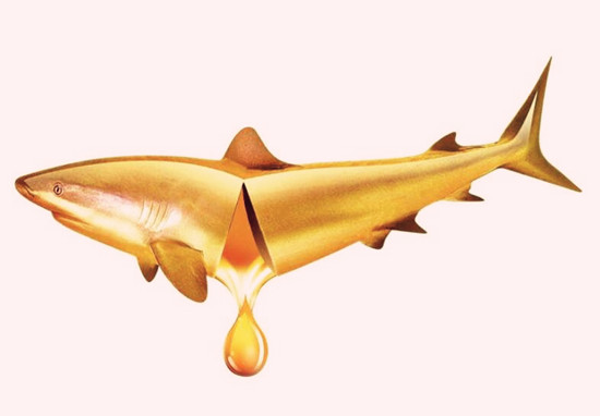 鱼油鱼肝油的区别,鱼油和鱼肝油分辨