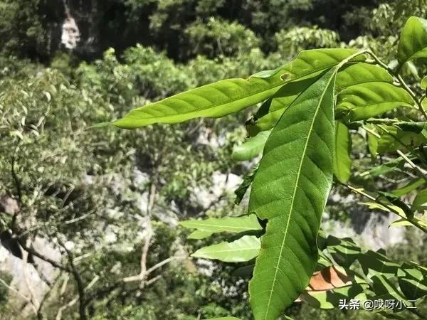 台湾环岛之旅全集,台湾宝岛环岛视频