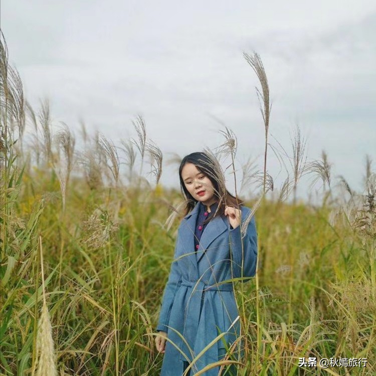 这座华东地区最大的湿地公园,拥有一千多亩芦苇荡,游客络绎不绝