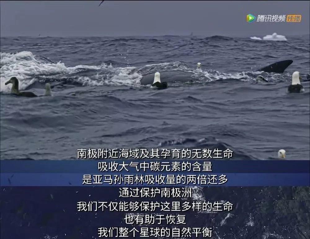 炸裂9.9，BBC再出神片，美得让人脸红