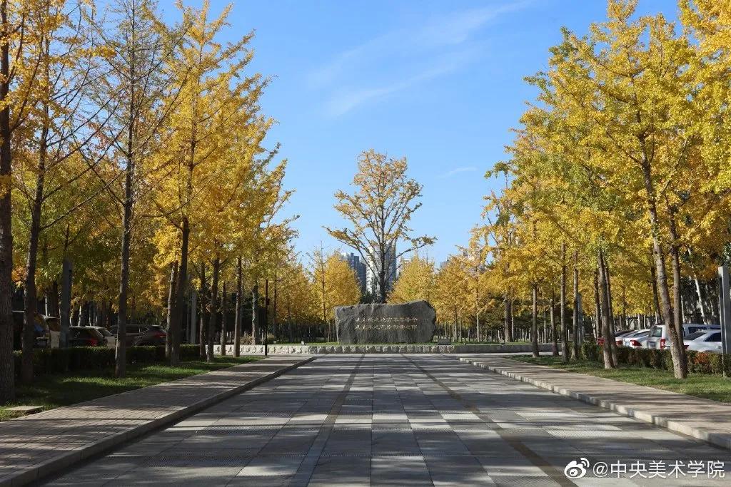 九大美院校园风景,中国九大美院校园风采