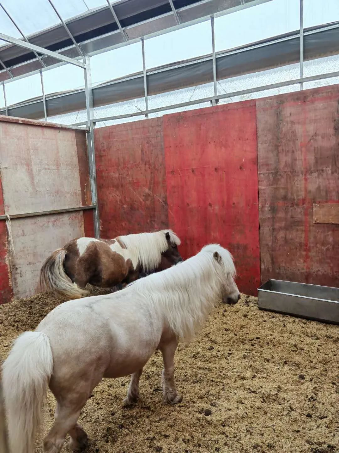 未来的杭州西湖,浙江杭州新西湖