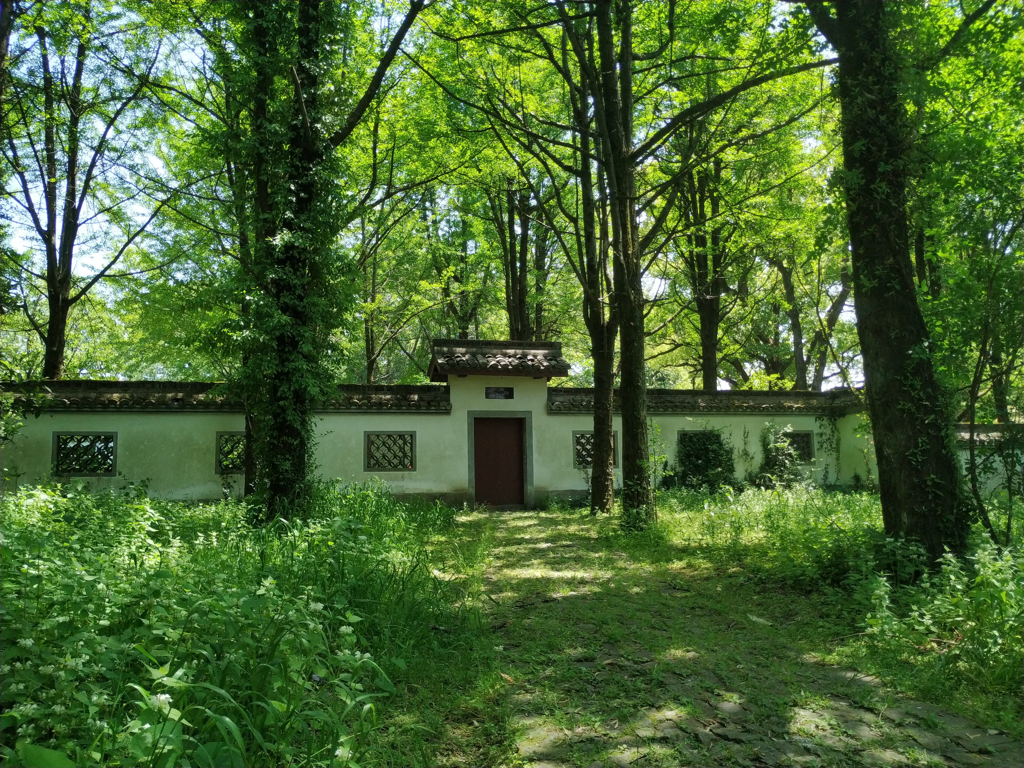 一个旅居者眼中的杭州：似水流年捕捉那四时光阴，美是记得