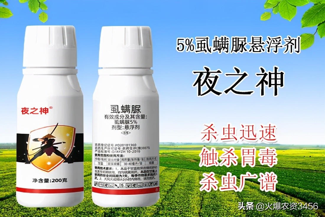 吊丝虫防治用什么药,吊丝虫特效药