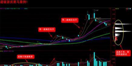 北京大学美女教师的演讲:黑马股启动前的征兆,堪称一绝