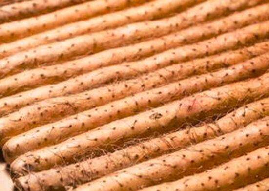 山药插水里长藤,山药水里能长出金豆吗