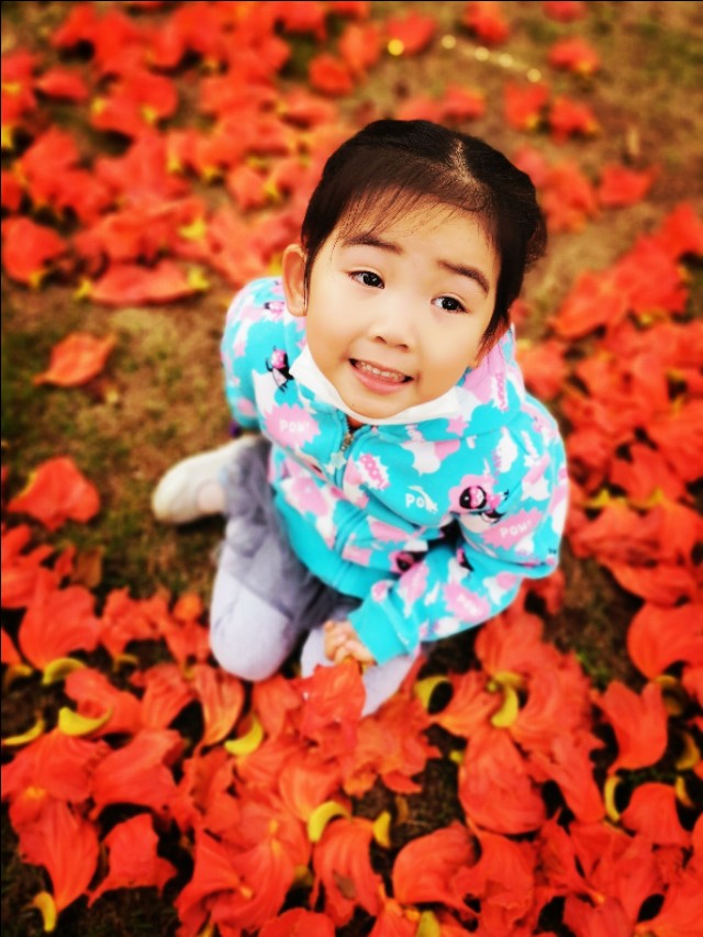 厦门园博苑带娃游玩攻略,厦门遛娃公园