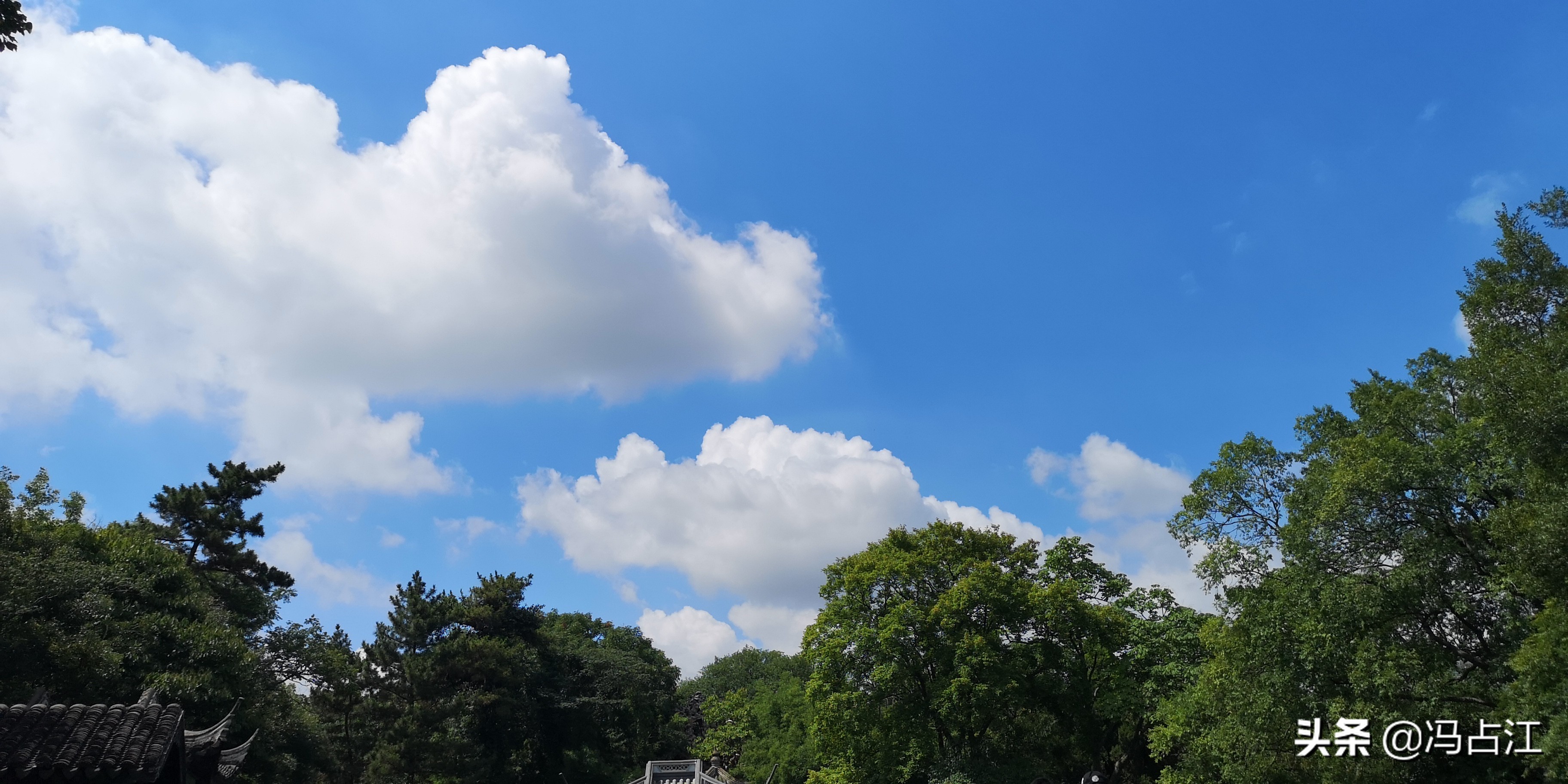 董宇辉高中如何学好英语,如何学好高中英语教学视频