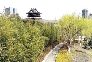 盐城风土人情的故事,江苏盐城情