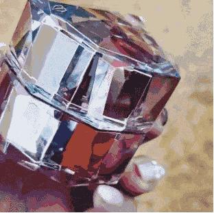 2019骞撮檺閲廲hanel褰╁,chanelysl