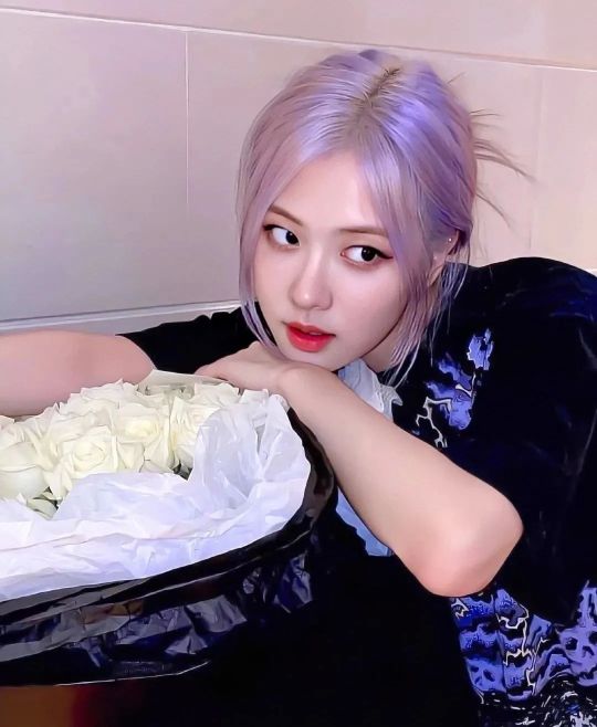 rose朴彩英头像壁纸,rose澳洲野玫瑰动态壁纸