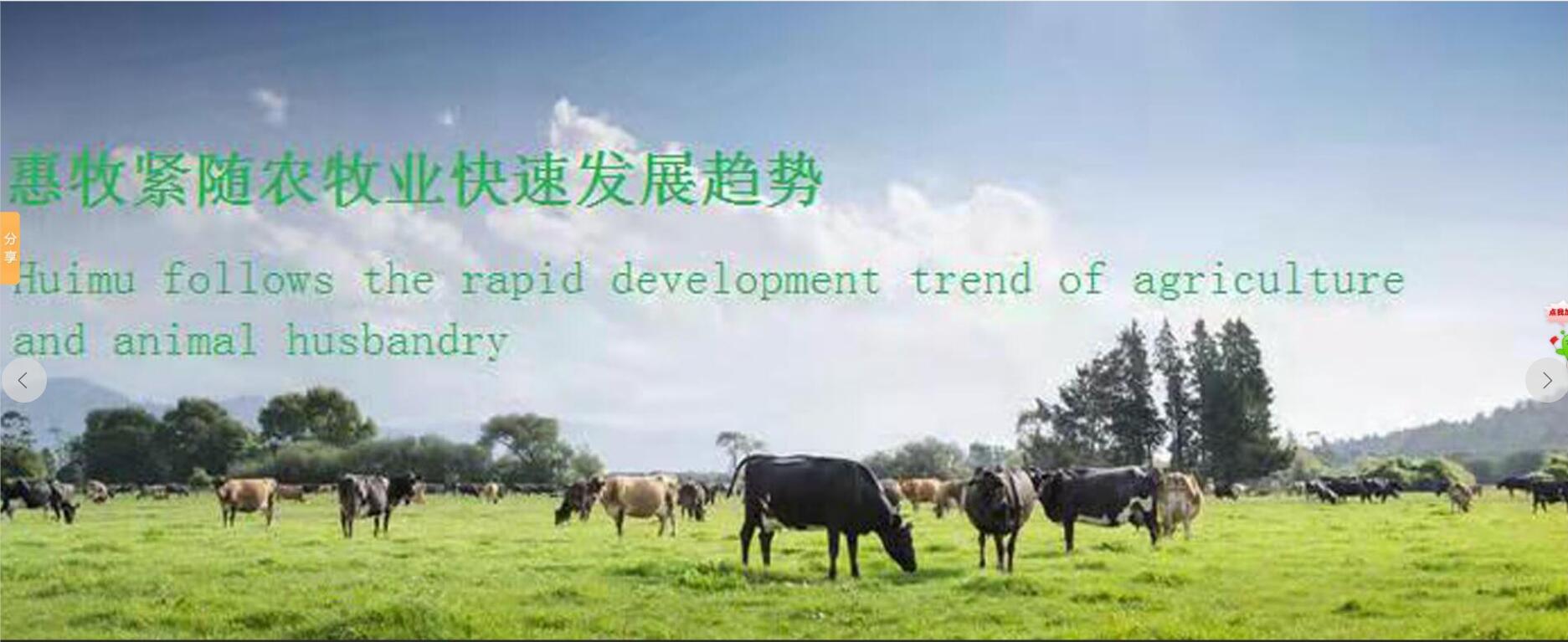 ps怎样解决图片太小放大失真,图片放大后失真用ps怎么处理